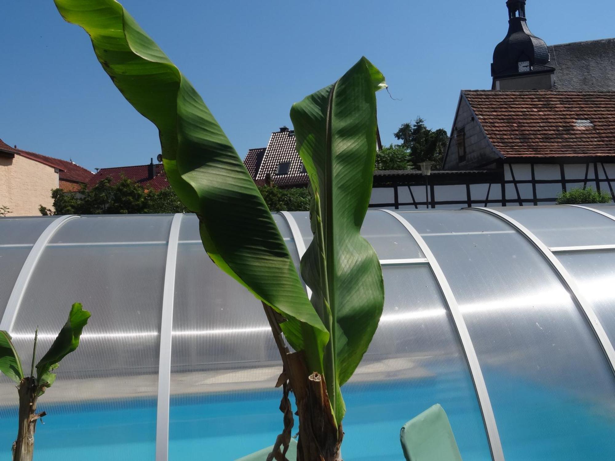 Pension Und Gaestehaus Paffrath Grossbrembach Экстерьер фото